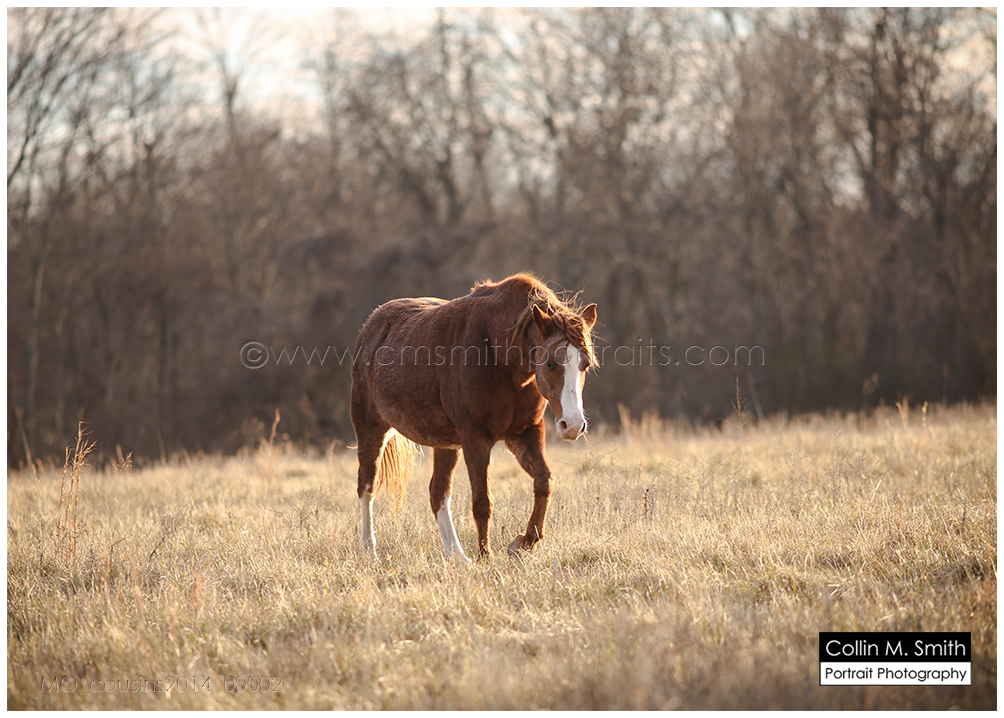 MO_cousins2014_00002FB